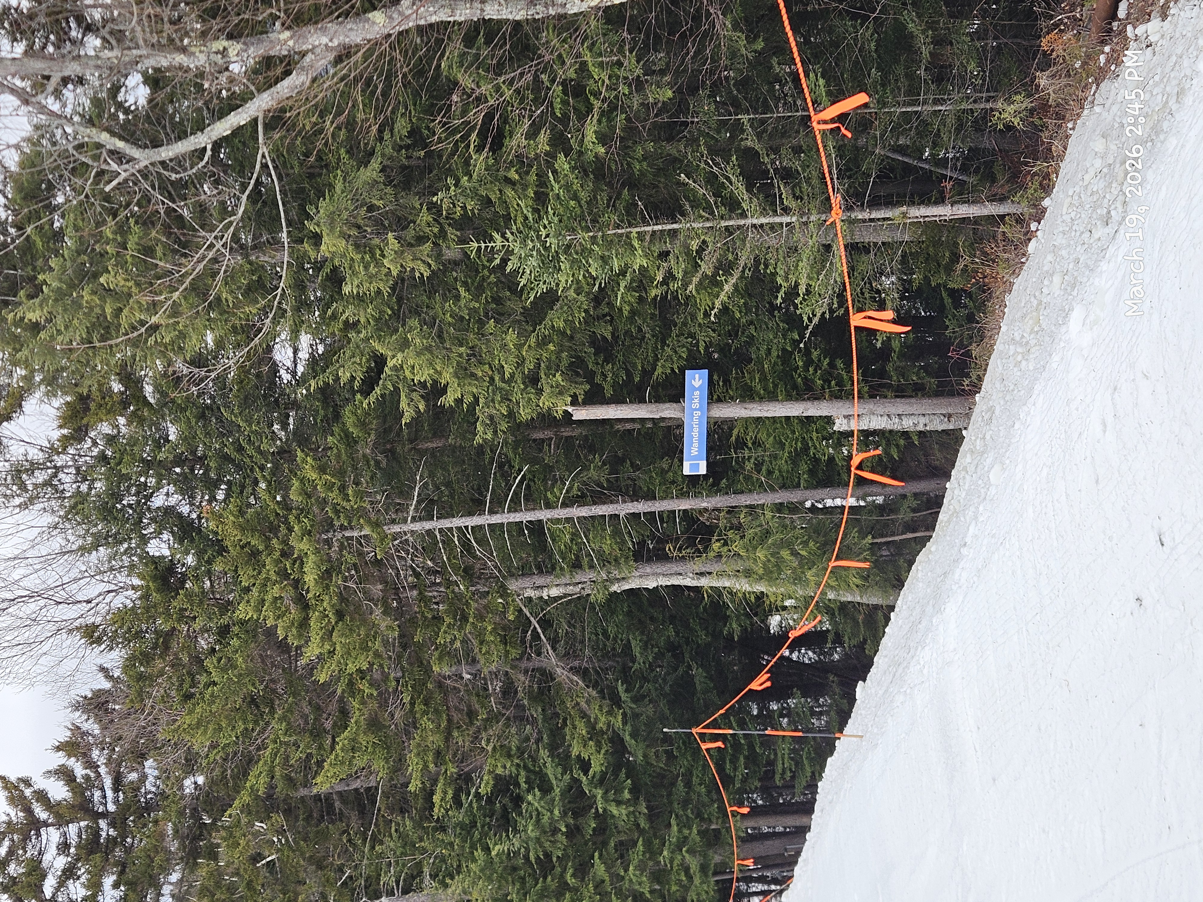 A picture from the trip to New Hampshire